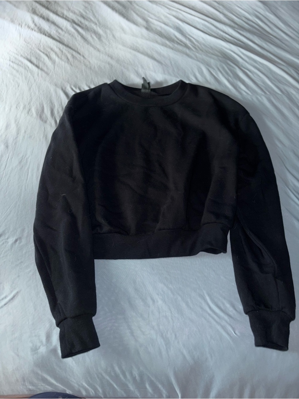 wild fable Black Cropped Crewneck Sweatshirt